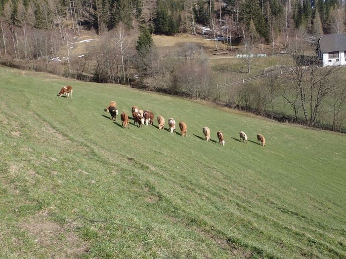 [1772458922567291_1.jpg]