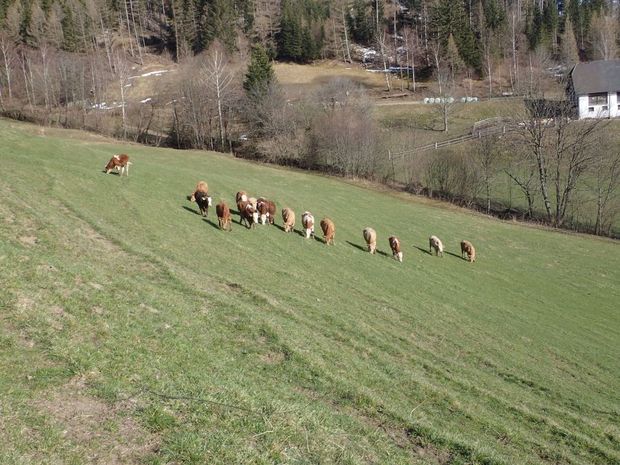 [1772458922567291_7.jpg]