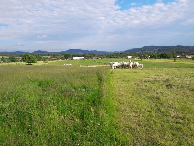 [1772459116223515_7.jpg]