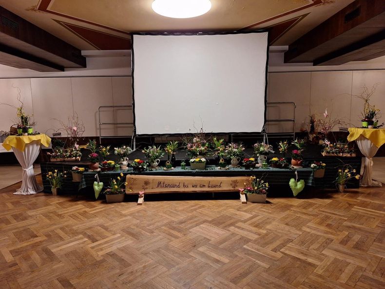 IMG-20260222-WA0003.jpg IMG-20260222-WA0003.jpg