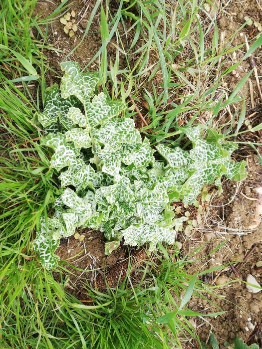 [1772617341647983_1.jpg]