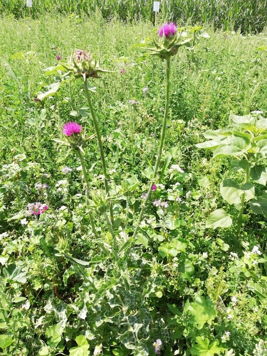 [1772617435496593_1.jpg]