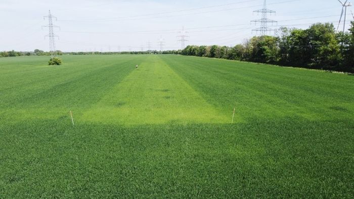 [1772620354954_1.jpg]