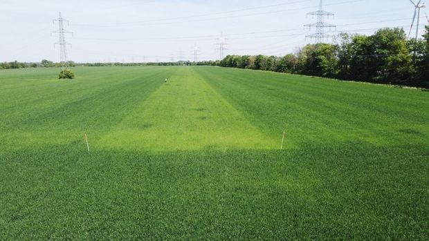 [1772620354954_7.jpg]