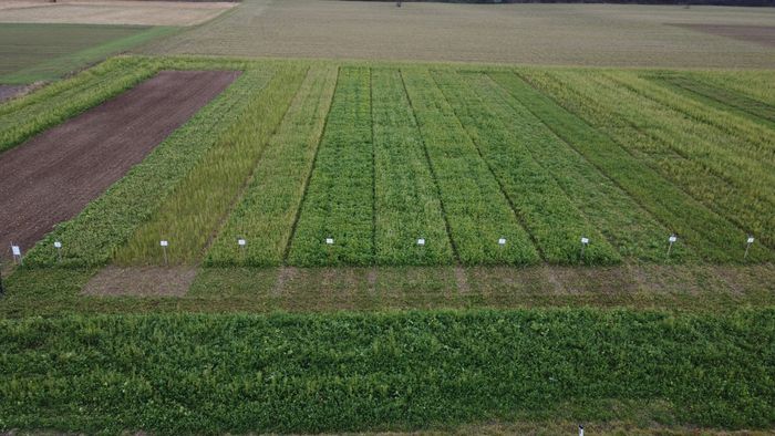 [1772716934163547_1.jpg]