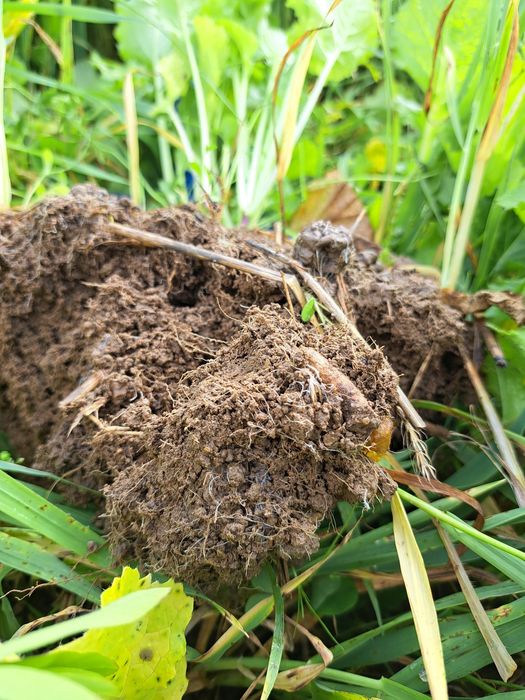 [1772717654785522_1.jpg]