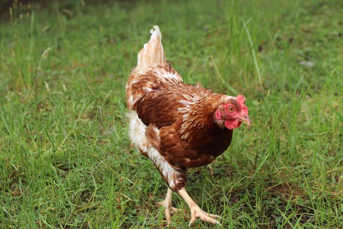 [1772781512258425_1.jpg]