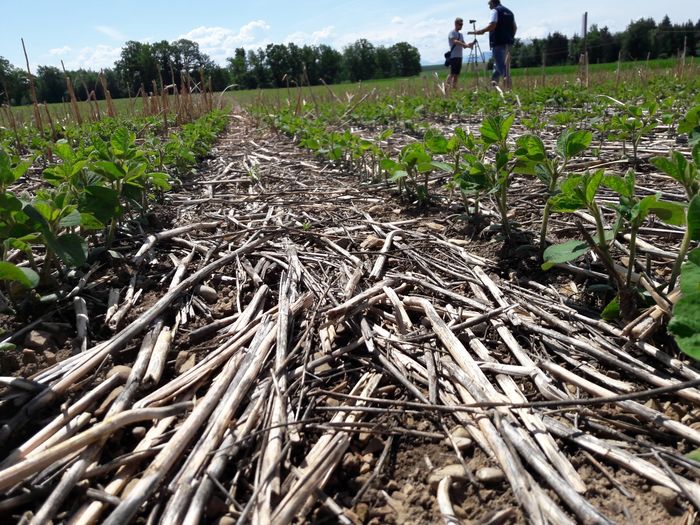 [1773042536694753_1.jpg]