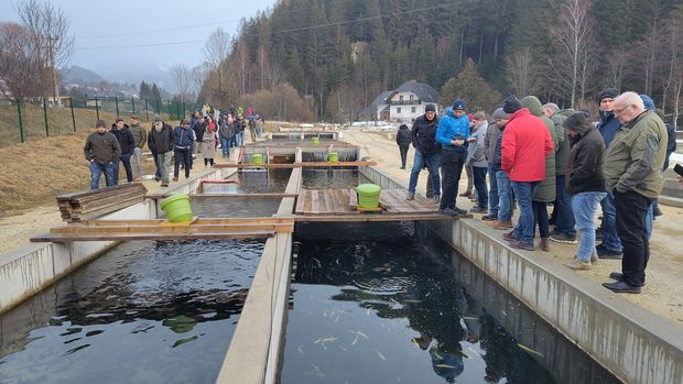 [1773067615785351_7.jpg]