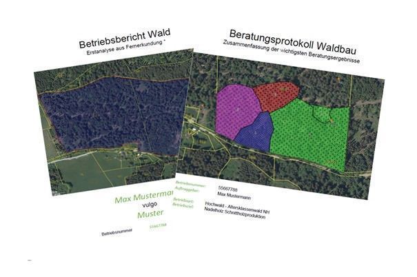 [1773214934152674_7.jpg]