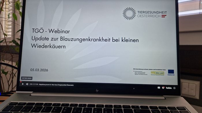 [1773215462087717_1.jpg]