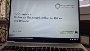 [1773215462087717_5.jpg]