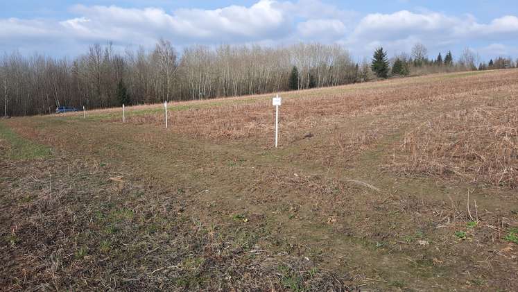 Besichtigung ZWF-Großversuch bei der FS Otterbach am 2. März 2026