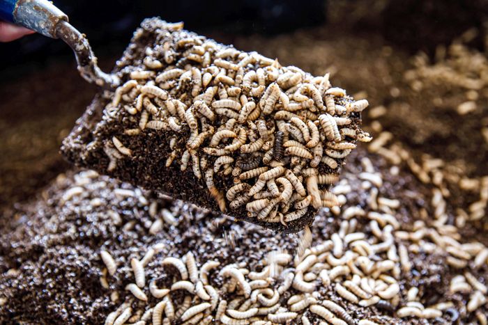 [1773223285926845_1.jpg]