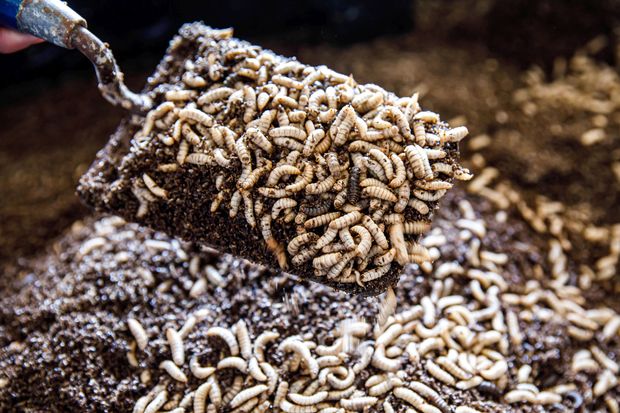 [1773223285926845_7.jpg]