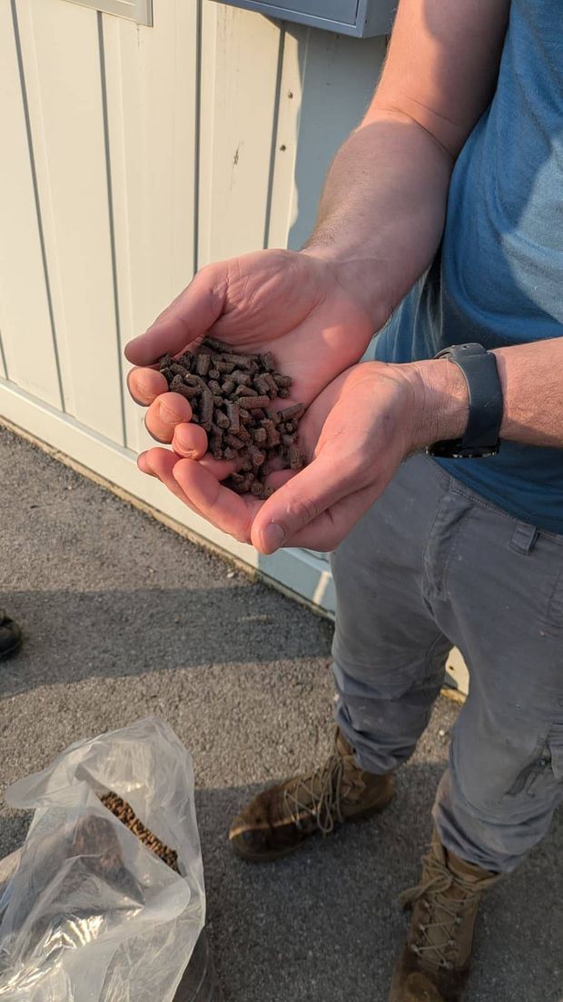 [1773223360206869_7.jpg]