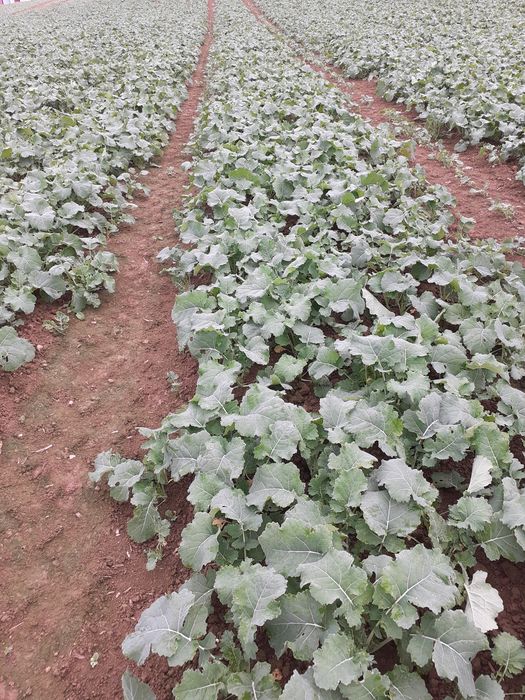 [177323553944644_1.jpg]