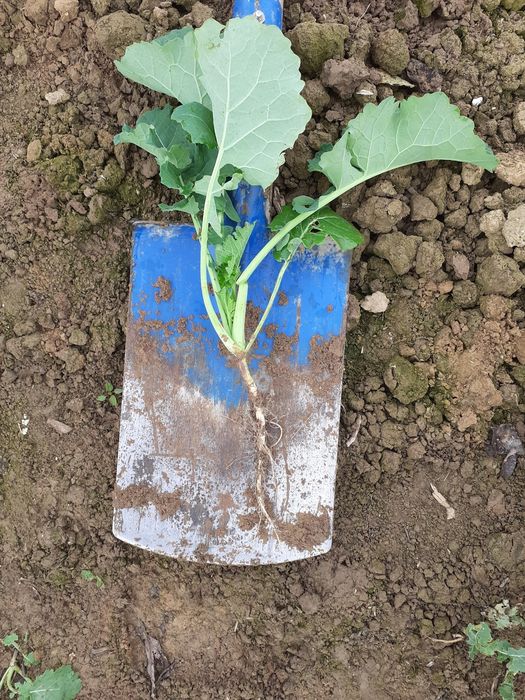 [1773235638016835_1.jpg]