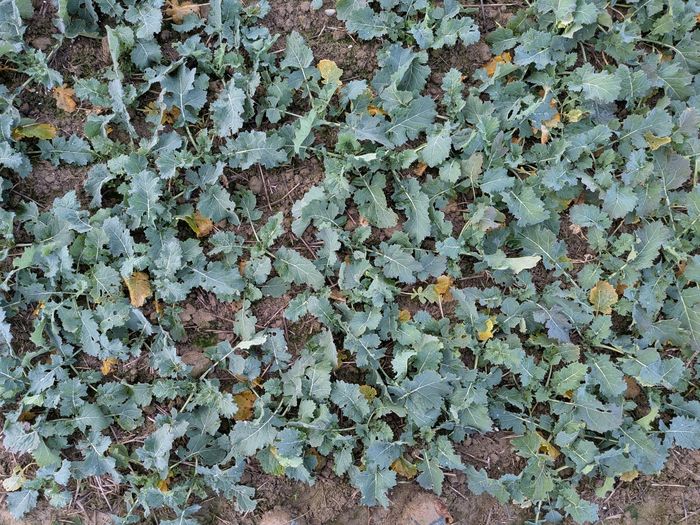 [1773235730022487_1.jpg]