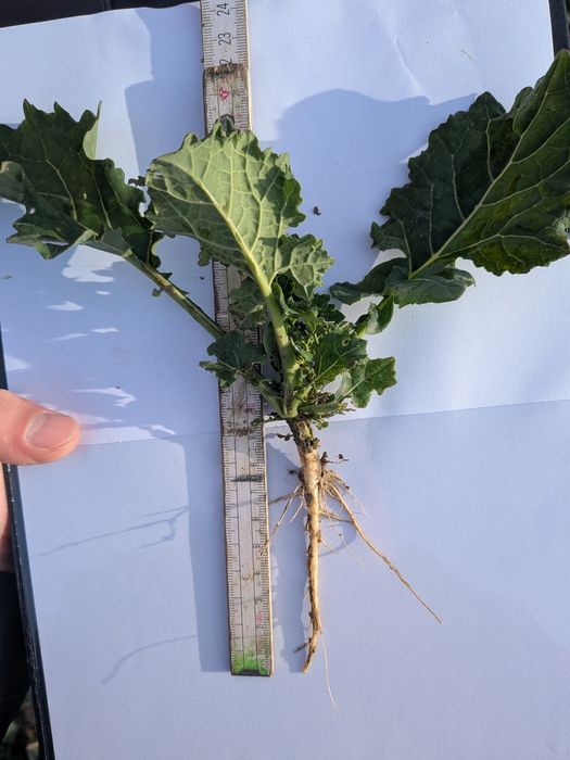 [177323577454819_1.jpg]