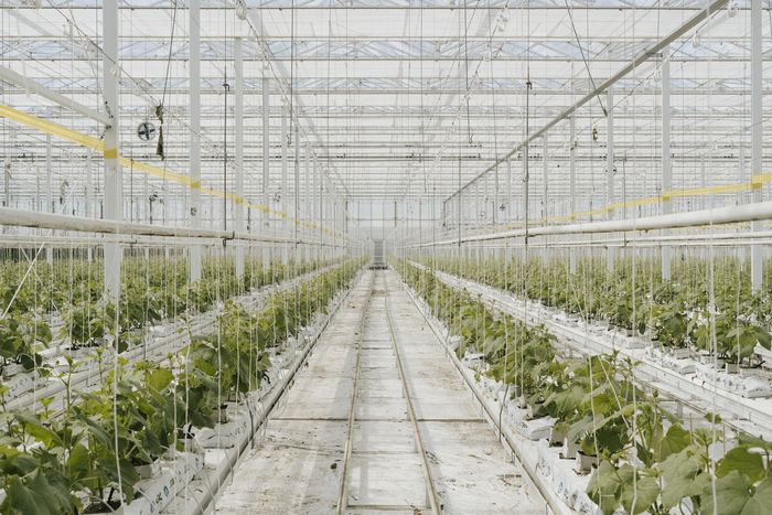 [1773305442451957_1.jpg]