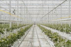 [1773305442451957_5.jpg]