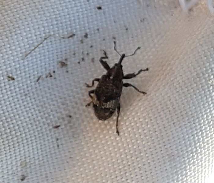 [1773305507770567_1.jpg]