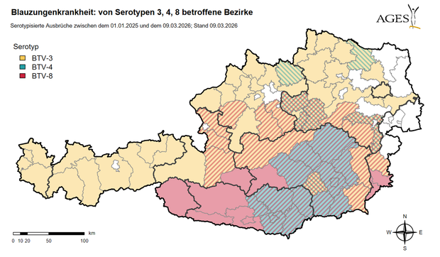 [177331056017310_7.png]