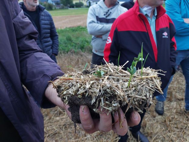 [1773322277955867_7.jpg]