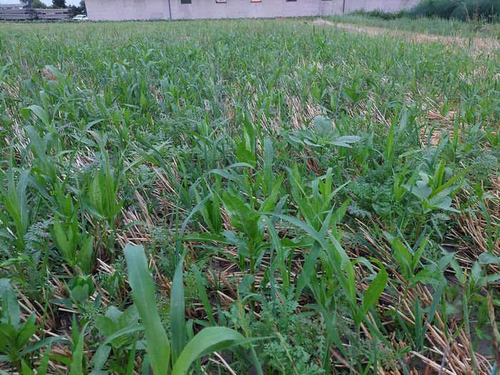 [1773322339070417_1.jpg]