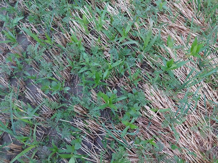 [1773322362419256_1.jpg]