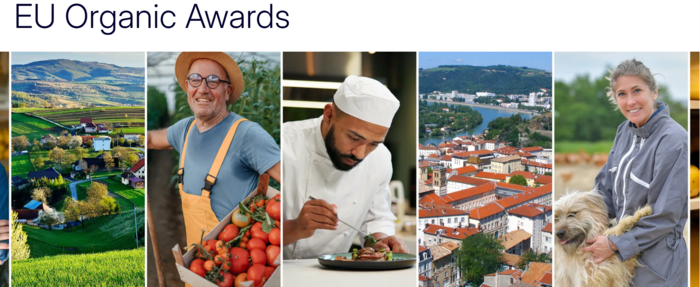 [1773407267918318_1.png]