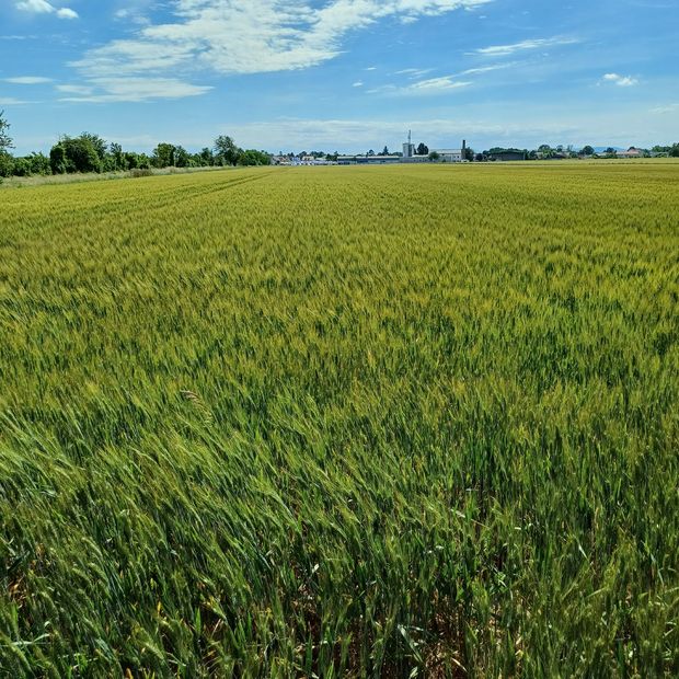 [1773814454752561_7.jpg]