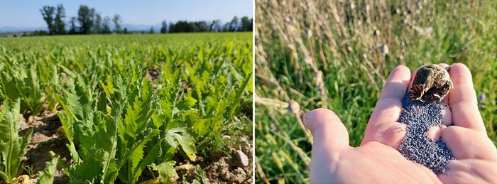 [1773840850218522_1.jpg]