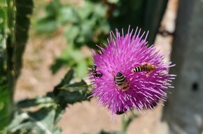 [1773841344643918_5.jpg]