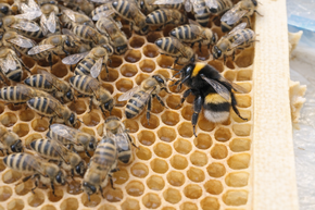 [1773841348696278_5.png]