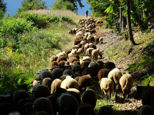 [177384181599977_7.jpg]