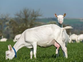 [177384182016228_5.jpg]