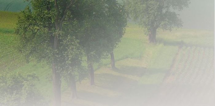 [1773917300007266_1.jpg]