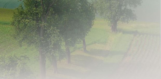 [1773917300007266_7.jpg]