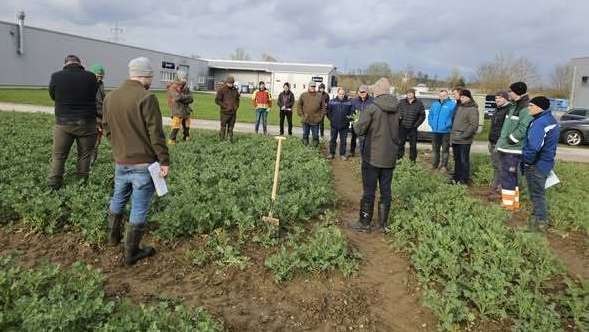 Suchen ...Feldbegehung und Arbeitskreistreffen in Dietach, 31. März 2026