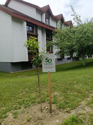 © Die Bäuerinnen im Bezirk Neunkirchen