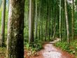 Bild: Allgemeiner Österreichischer Försterbund - Landesstelle Kärnten Bild: Allgemeiner Österreichischer Försterbund - Landesstelle Kärnten