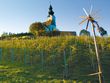 Bild: Weinbauverband Kärnten Bild: Weinbauverband Kärnten