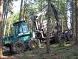 Bild: Waldverband Kärnten Bild: Waldverband Kärnten