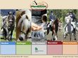 Bild: Landespferdezuchtverband Kärnten Bild: Landespferdezuchtverband Kärnten