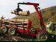 Bild: Land & Forst Betriebe Kärnten Bild: Land & Forst Betriebe Kärnten