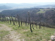 © Ing. Josef Klement