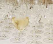 Landesweinbewertung .jpg © LK Wien