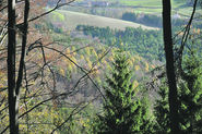 © LK NÖ/Grünwald © LK NÖ/Grünwald